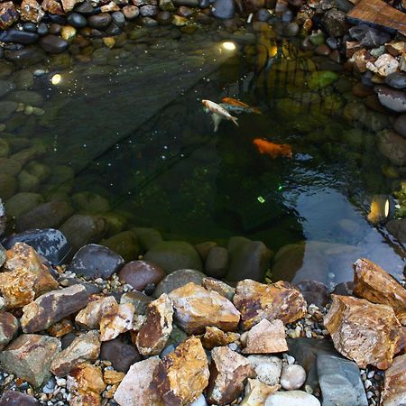 Pension La Fontana Baia Mare Bagian luar foto
