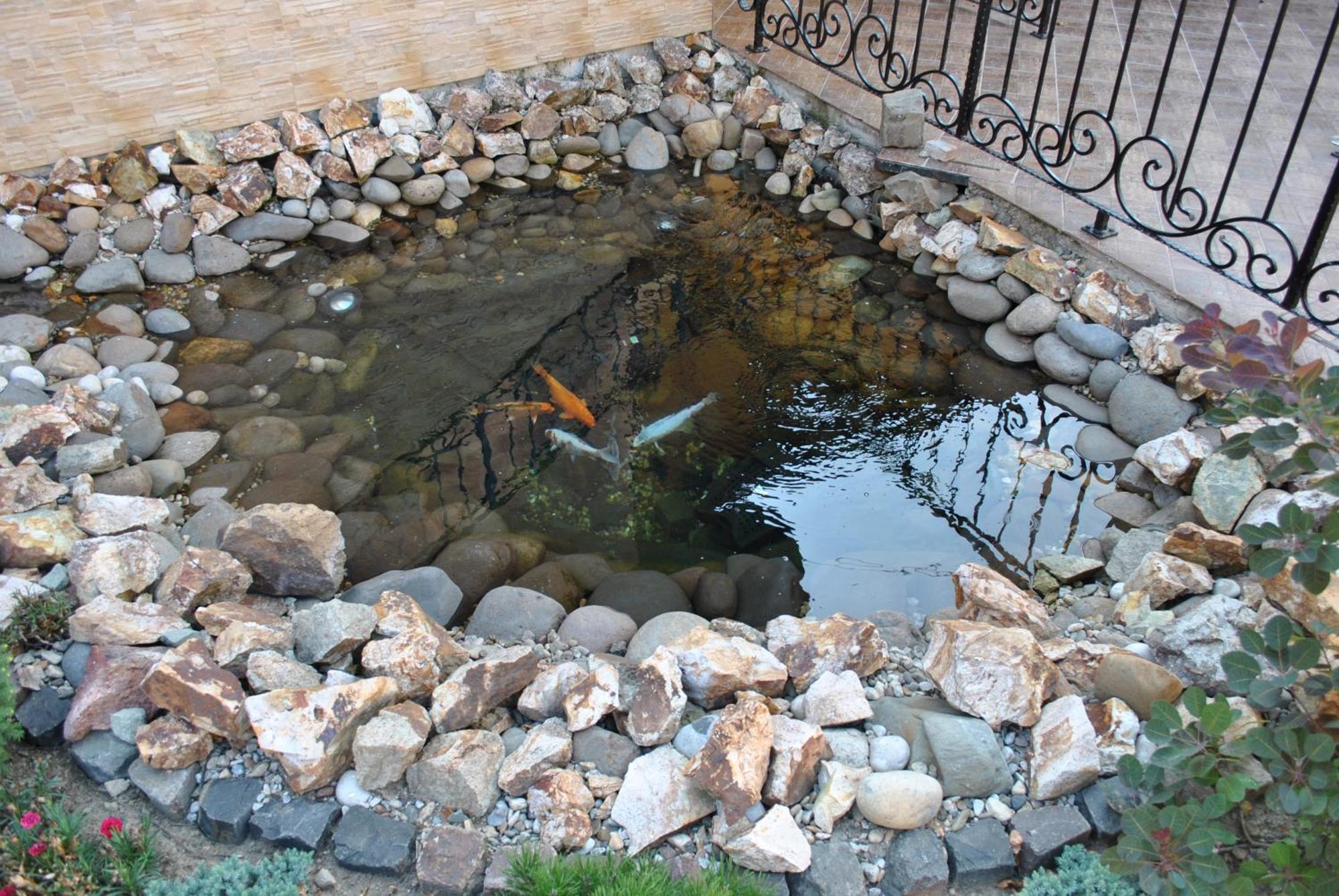 Pension La Fontana Baia Mare Bagian luar foto